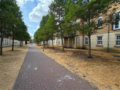 Picture 19